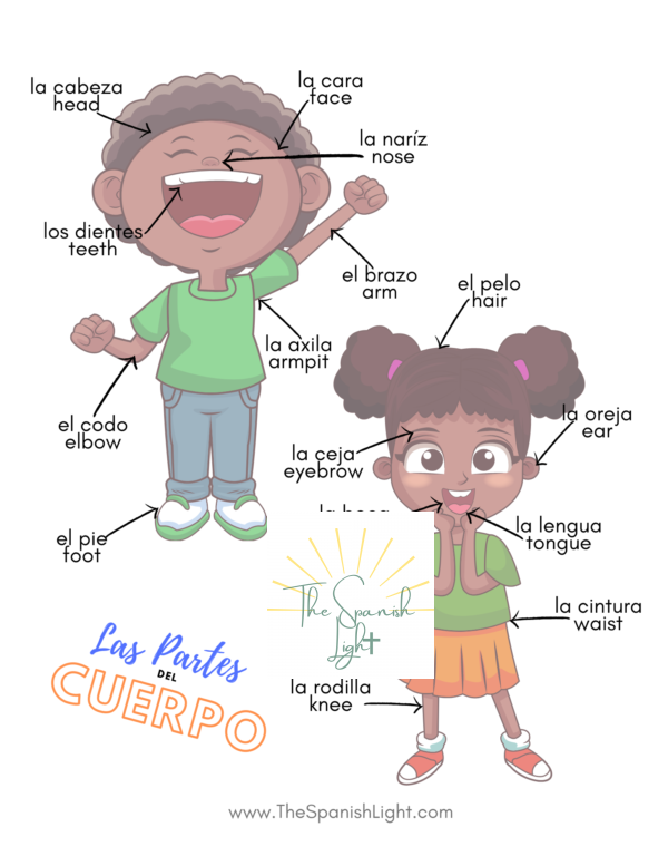 body parts in Spanish